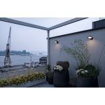 MALU WL — изображение 6