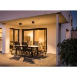 BIG THEO CEILING — изображение 2