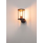 PHOTONIA - Image 2