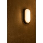 TERANG 2 XL SENSOR - Image 4