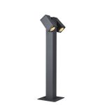THEO PATHLIGHT double