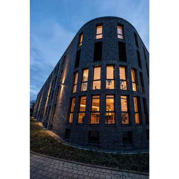 1425847_1200x1200 BIG THEO WALL - Image 5