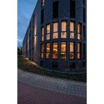 BIG THEO WALL - Image 6