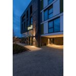 BIG THEO WALL - Image 7