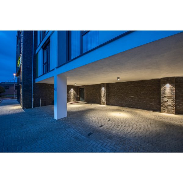 1425872_1200x1200 BIG THEO WALL - Image 4