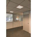 PAVANO 600x600 — изображение 3