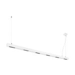Q-LINE PD
