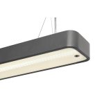WORKLIGHT PLUS PD - Image 2