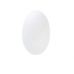 Glass 235mm Wall fixture