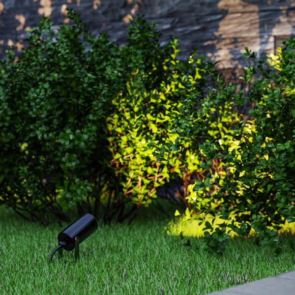 Jumbo Spotlight — изображение 3