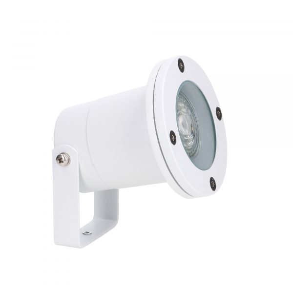 Post Spotlight - Image 1