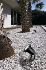 Post Spotlight - Image 3
