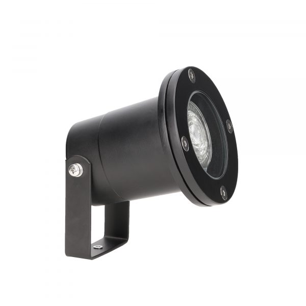Post Spotlight - Image 1