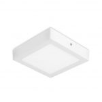 Easy Square Surface 225mm Ceiling fixture