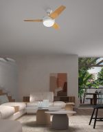 Windy Ø1010mm Fan — изображение 2