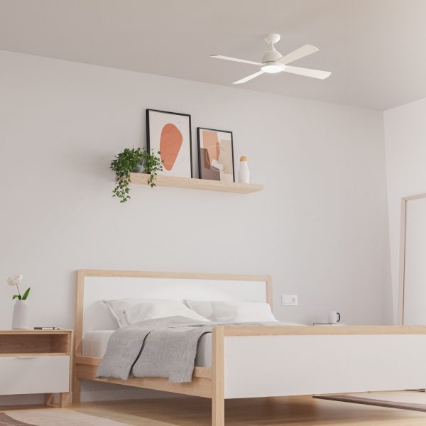 VE-0006-BLAV1 Borneo ø1066mm Fan - Image 3