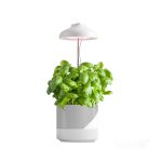 Lamp for growing seedlings VERDI 5W 220lm /20 - Image 3