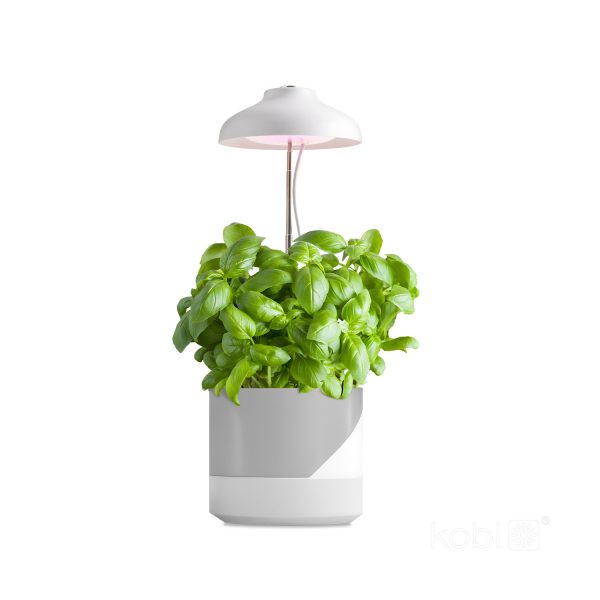 Lamp for growing seedlings VERDI 5W 220lm /20 - Image 3