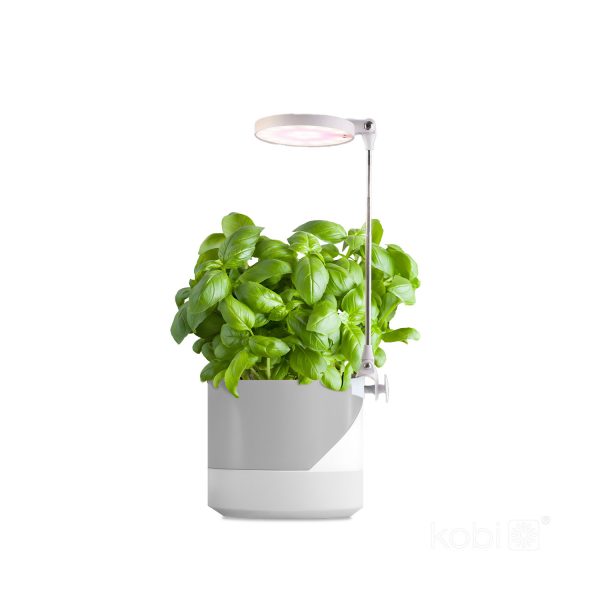 045762_2 Lamp for growing seedlings VERDI 10W 260lm /20 - Image 3