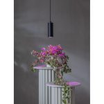 Bulb Plant Light PAR16 3.5W/prosper GU10 42lm /100 - Image 2