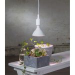 Bulb Cultivate PAR38 16W E27 1200lm /12 — изображение 2