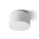 ARANA R 27 ceiling  opal-colored glass/chrome 230V LED E27 15W IP44