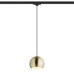 AGNETA for 3-circuit tracks pendant brushed brass 230V LED E27 11W